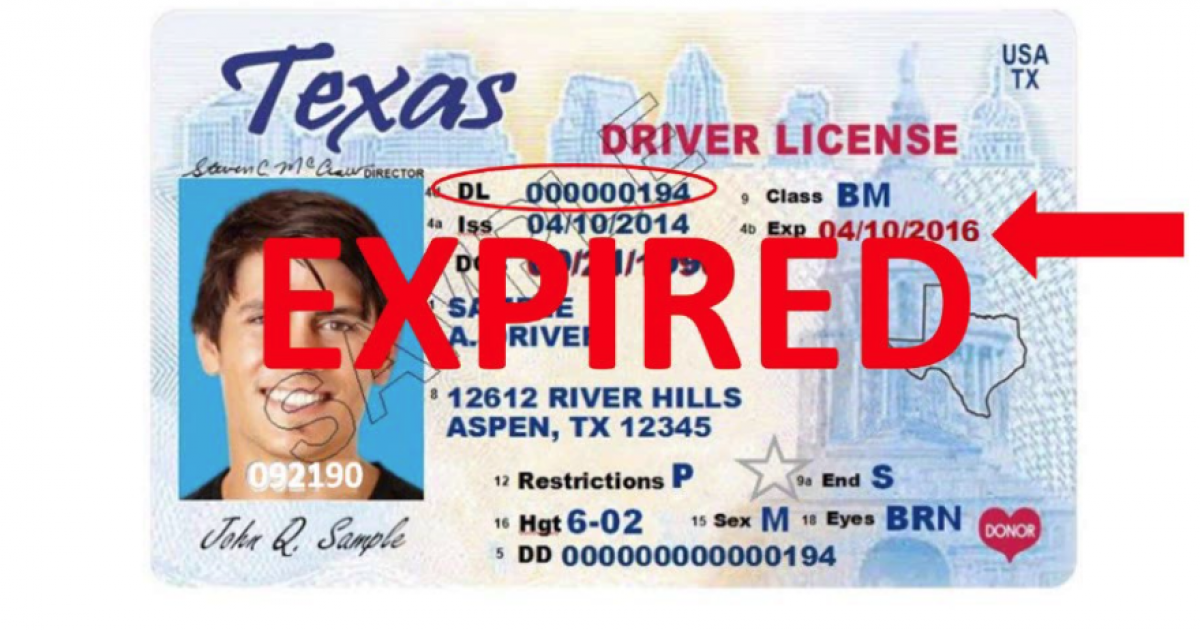 What To Do If Your License Expires Printable Templates Free